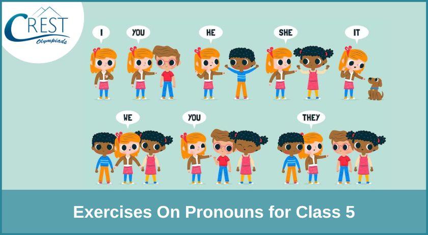 Exercises On Pronouns For Class 5 Download Free PDF