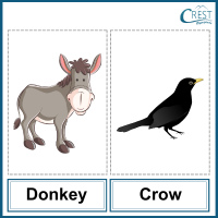 Donkey and Crow for Class 2