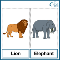 Lion and Elephant for Class 2