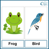 Frog and Bird for Class 2