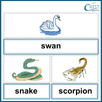 Swan, Snake and Scorpion for Class 3