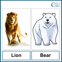 Lion and bear for Class 3