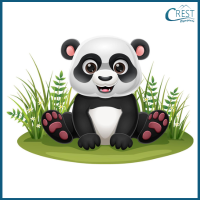 Panda for Class 3