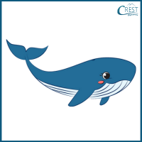 Whale for Class 3