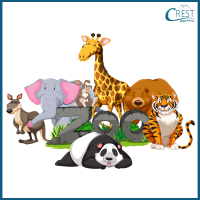 Antonym Questions - Zoo