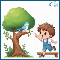 Articles - Boy saw a bird on a tree
