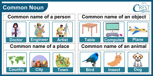 Common Noun Examples