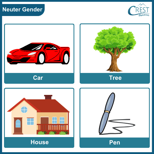 Neuter Gender for KG