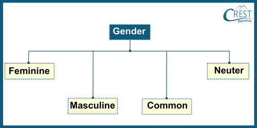 Types of Gender