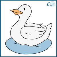 Students 4-letter Word - Duck