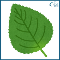 4-letter Word - Leaf