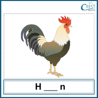 Missing Letters - Hen