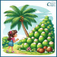 Nouns Questions - Coconut Tree