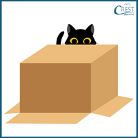 Prepositions - Cat behind the box