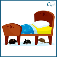 Prepositions - Rats under the table