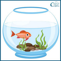 Prepositions - Fish in the pot