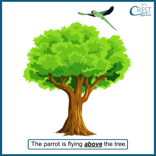 Prepositions - Parrot flying above the tree