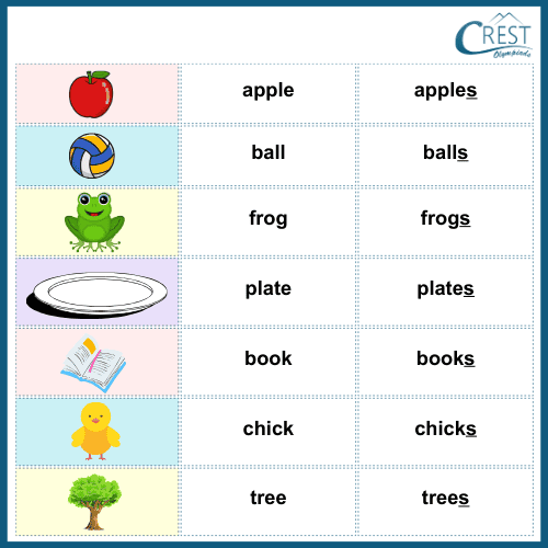 Singular-Plural | English Olympiad Class KG