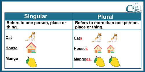 Singular and Plural for Grade KG