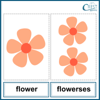 Singular and Plural for KG