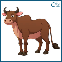 Ox for Class 3