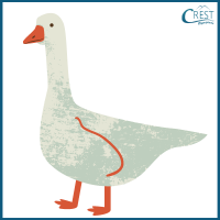 Goose for Class 3