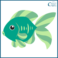 Fish for Class 3