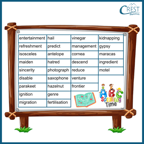 Spelling Words List for Class 4