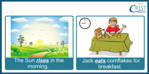 Simple Present Tense Examples