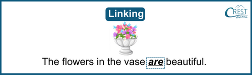 Verb - Flowers in the vase