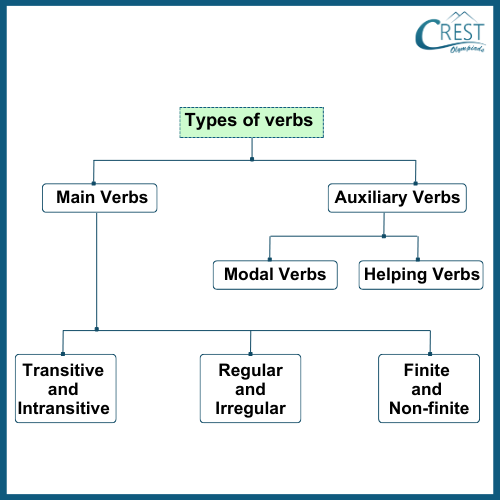 Types of Verbs for Class 6