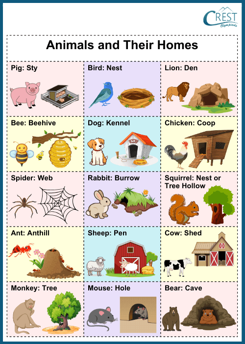 Animal Sounds, Young Ones and Homes Notes | Science Olympiad Class KG