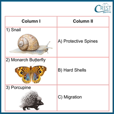 animals-adaptation4-q5