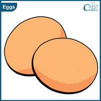 egg