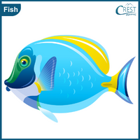 fish