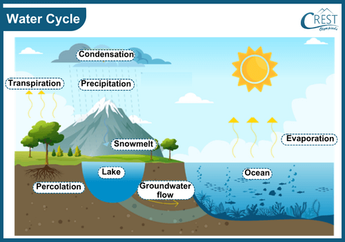 Biogeochemical Cycles Notes | Science Olympiad Class 9