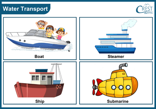 Various means of water transport